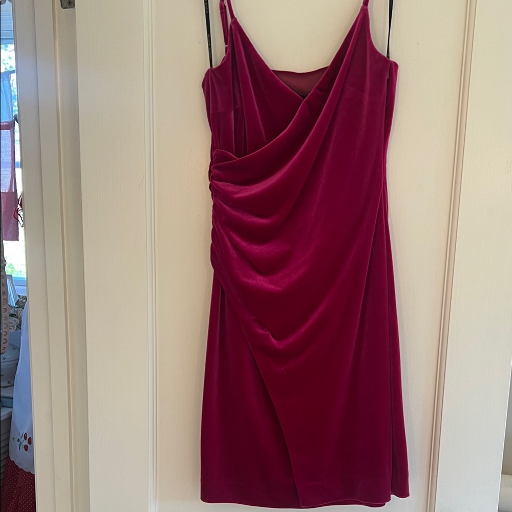 Black Halo Fuchsia velvet Dress
